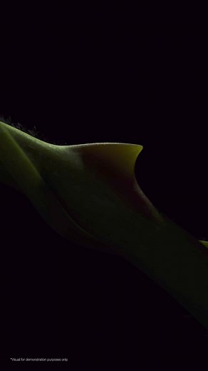 5.2K views · 24 reactions | Redmi Note 13 Pro | 200MP Camera අලුත්ම තොග දැන් ලැබි ඇත. ඉක්මන් කරන්න! දැන්ම වෙන්කරගන්න! 路 #RedmiNote13Pro #ලංකාබැංකුවඉදිරිපිට #මහරගම | The SmartPhone Shop | Facebook