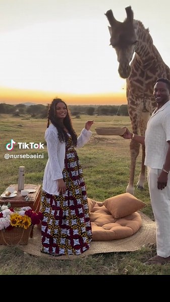 Unexpected Giraffe Encounter on Safari