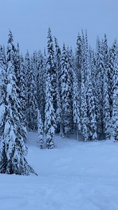 Beautiful winter scene up on Lolo Pass ❄️❄️❄️ | KPAX-TV
