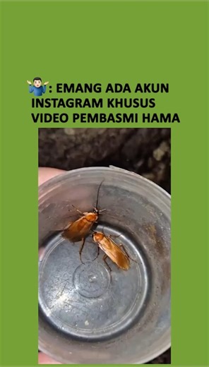 BASMI HAMA on Instagram: "Teori Zeithaml, khususnya model SERVQUAL yang dikembangkan oleh Parasuraman, Zeithaml, dan Berry, mengemukakan bahwa kualitas layanan dinilai oleh pelanggan melalui perbandingan antara persepsi mereka tentang kinerja layanan yang diterima dengan harapan mereka terhadap layanan tersebut. Teori ini mengidentifikasi lima dimensi utama yang digunakan pelanggan untuk mengevaluasi kualitas layanan, yaitu Tangibles (Bukti Fisik), Reliability (Keandalan), Responsiveness (Daya T