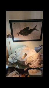 6.1K views · 258 reactions | A little about Amethyst | Bob Summers | Facebook