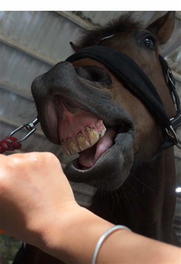 Secret handshake 🙈