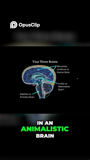 13K views · 185 reactions | Unlock the hidden power within human potential is limitless when the mind, body, and spirit align. Comment book for the link. #UnlockHumanPotential #InnerPower #LimitlessMind #AwakenWithin #HumanPotential #ConsciousAwakening #PowerWithin #SelfMastery #InfiniteBeing #ElevateYourself | Celestial Wisdom Insights | Facebook