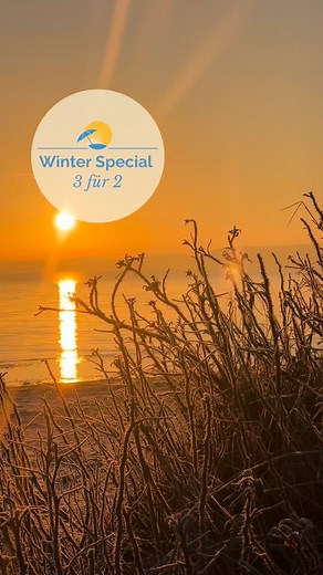 Mehr Zeit am Meer: Genießt 3 Nächte im Ostsee-Strandhaus Glücksburg-Holnis, zahlt aber nur 2. Perfekt für eine winterliche Auszeit – inklusive Meeresbrise. 🌊🌤️ | Ostsee Strandhaus Holnis