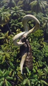 29K views · 826 reactions | Mysterious hybrid creature with giant thorns in amazon forest #AmazonMystery #RiverCreature #GiantThorn #Unexplained #LeakedFootage | Nature.love | Facebook