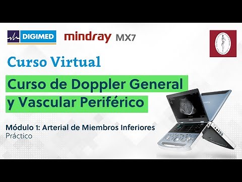Curso de Doppler General y Vascular Periférico. Módulo 1 - Práctico: Arterial de Miembros Inferiores