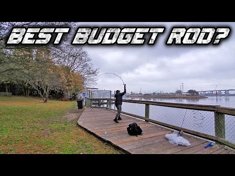 This New $80 Budget Surf Rod Could Be Better Than Most $200 Surf Rods - New Breakwater Surf Rod