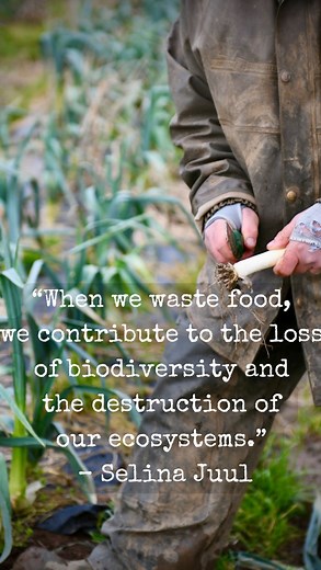 3.8K views · 13 reactions | Food waste is a huge environmental...