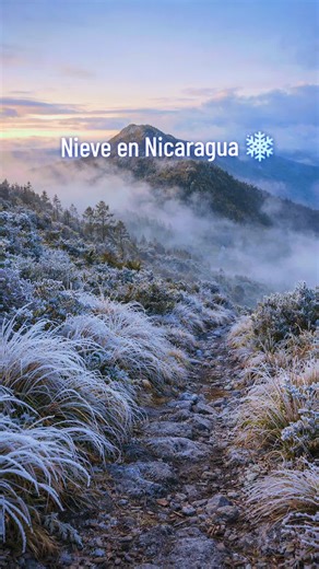 Así se encuentra el punto más alto de Nicaragua por la ola de frío. #nieveennicaragua #nieve #nicaragua