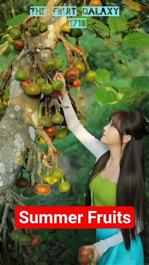 Summer Fruits🥝🍉🥝#shorts #fruit #agriculture #nature