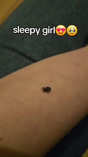 Video's van spring_spin (@spring_spin) met origineel geluid - spring_spin