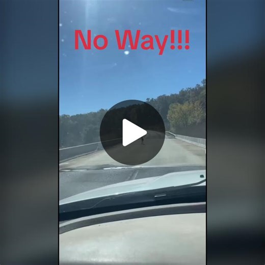 TikTok · Funny.buddy