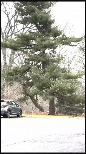 Light snow falls in South-Central Pa. one day after record-high temperature