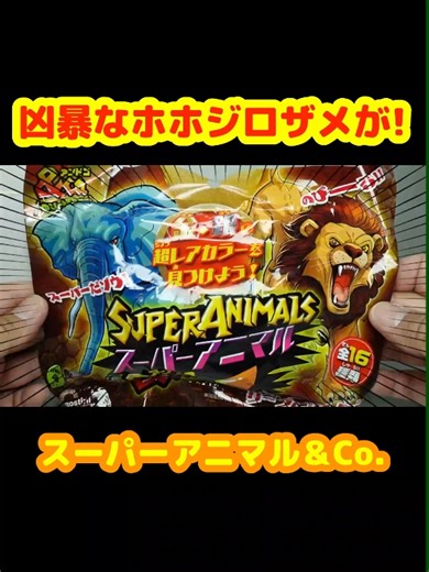 スーパーアニマルアンドコの凶暴ほうじろざめ