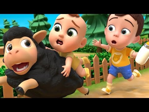 "Baby Sheep Sing-Along: Baa Baa Black Sheep - Fun Nursery Rhymes for Kids!"