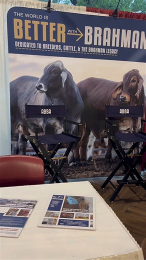 2.3K views · 30 reactions | That’s a wrap on the 2025 Texas A&M Beef Cattle Short Course! ABBA was proud to represent the American Brahman breed and connect with cattlemen and women from across the country. Thanks to everyone who stopped by to visit with us — we’ll see you down the road!  #BrahmanStrong #BeefCattleShortCourse #AmericanBrahman | American Brahman Breeders Association | Facebook