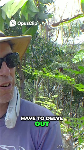 Guava Wild Fruit Recipe for Delicious Jelly & Preserves!