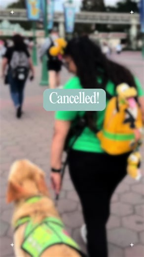 Surviving Bullying in the Service Dog Community