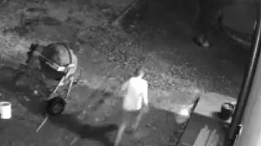 Fox attacks small dog moments after she is let out into garden