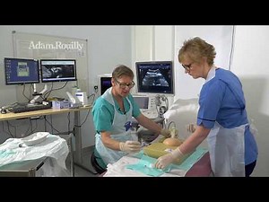 AR60 Amnio Abby® Ultrasound Guided Invasive Procedures Simulator