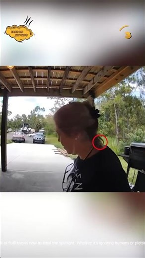 you can script Fail like this 🤣#fail #funnyfails