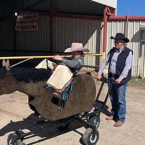 Check out our newest training machine!! The MiniBronc is now available for purchase at www.rodeozonetech.com. #littlebritchesrodeo #rodeolife #broncridingnation #cowboysrule | Rodeo Zone
