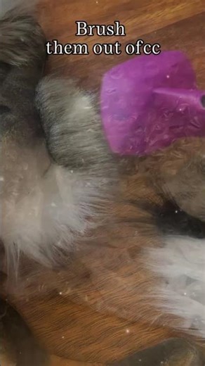 Three simple mask orders ❤️ #craft #diycosplay #animalmask #catmask #animalart #halloweenmask #fypシ