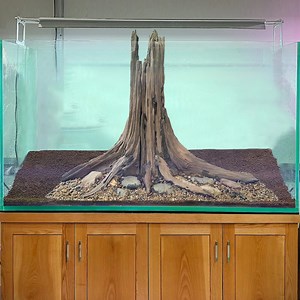Aquarium Driftwood Stump Tree Aquascape Hardscape Wood Terrarium Fish Tank Decor - Etsy