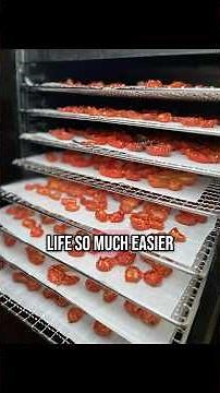 Magic Mill Pro Review, why i love it#dehydrator