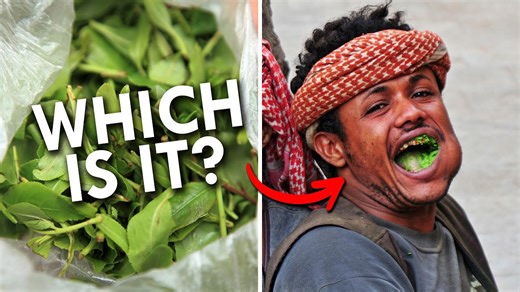 Khat: Natural Stimulant or Addictive Risk?