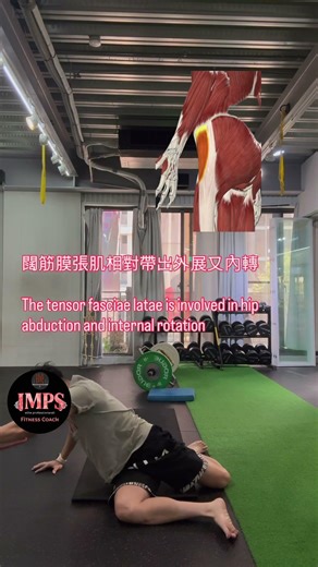 不對稱呼吸與不對稱活動度 #imps動作優化提升運動表現系列課程