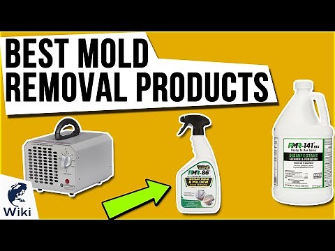 10 Best Mold Removal Products 2020
