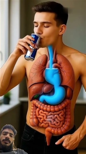 #facts #digestiveprocess #funny #motivation #animation #science #digestivesystem #3danimation