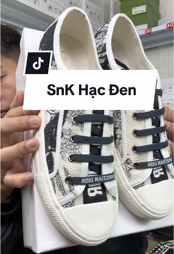 Túi Xách Dior Mới Nhất 2024: Xu Hướng Thời Trang
