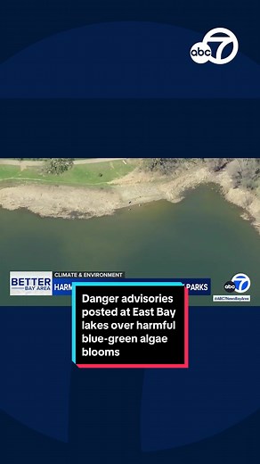 Harmful blue-green algae blooms have the East Bay Regional Park District warning everyone to keep themselves and their pets out of the water. Danger advisories have been posted at a number of parks including Lake Del Valle, Shadow Cliffs Lake and Quarry Lakes. #eastbay #lake #lakes #algae #bloom #blooms #park #parks #water #pleasanton #fremont #news #fyp #foryoupage #abc7news