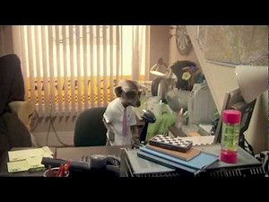 Favourite Meerkat Moments on Coronation Street