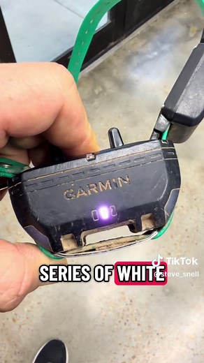 Updating Garmin TT25 Collar Software with Garmin Express