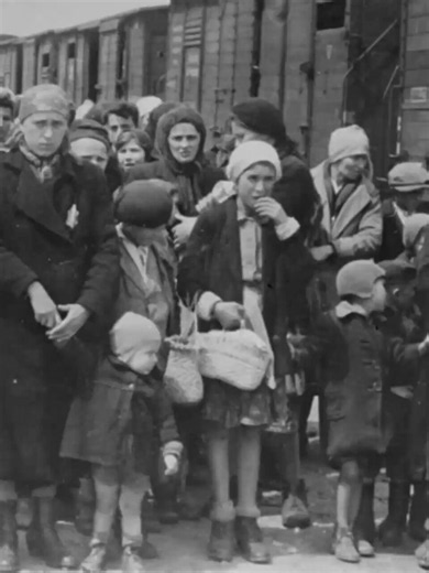 Refresh. Qui Augusto Minzolini paragona alla Shoah il fermo dei flotilleros.