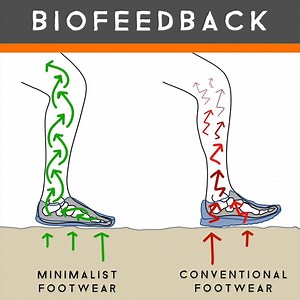 5.3K views · 106 reactions | Our bodies crave the neurologic engagement of complex movements like running. ‍♀️ Arguably the most accessible and effective exercise, running is a cornerstone in any movement diet. In fact, running is a movement that we humans evolved to excel at! ‍♂️ Learn more about healthy running here: https://www.earthrunners.com/blogs/barefoot-running/proper-barefoot-form | Earth Runners | Facebook