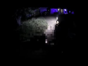 Woman mauled by four pit bulls