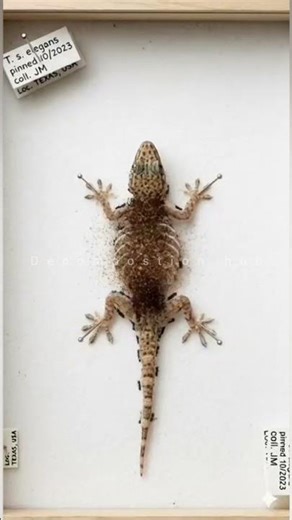 What Happens When an Animal Dies? | Decomposition Time Lapse #decompostion #science #wildlife