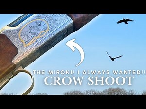CHILDHOOD DREAM GUN!! NOW NOT SO MUCH.. | CROW SHOOTING WITH A MIROKU MK70 GRADE 6 SHOTGUN