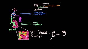 What is bronchiolitis?