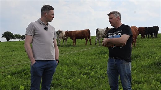 142 reactions · 3 comments | Part 1 of the Progressive Genetics...