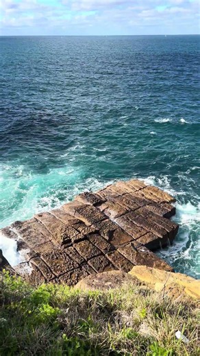 Watsons bay #sydney #australia