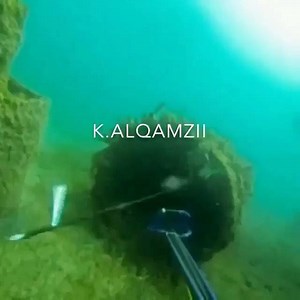 26K views · 183 reactions | Everything about this video blows our minds (even the ridiculous watermark)! One up, one down. It'll keep you out of the hospital... | Spearchannel | Facebook