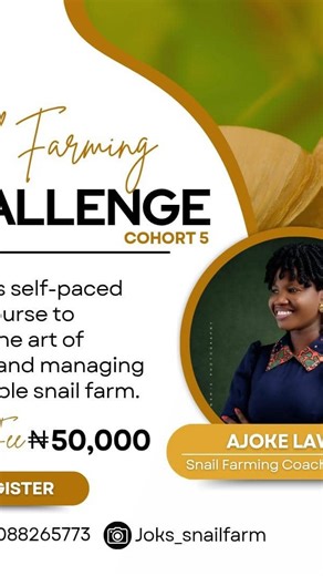 Registration is now opened for my advance class on snail farming without stress! Avoid spending money twice . Get it right now . . To register directly on selar click on the link in my bio. . For direct bank transfer: Pay here : 1306317629 Joks agro and more UBA. Send prof of payment to : 234 708 826 5773 On WhatsApp! . You wouldn’t be getting this course for this price in 2026! Register now ! #jokssnailfarm #snails #snailfarmer #snailfarmingtraining | Joks Snail Farm