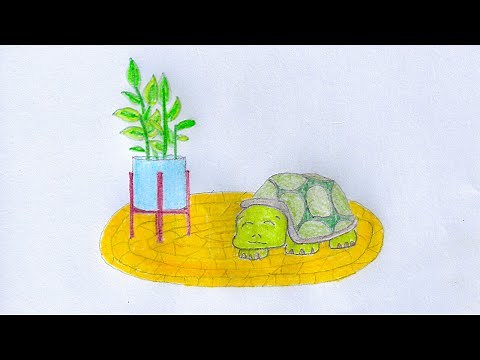 Relaxing Music for Turtles (2hrs.)