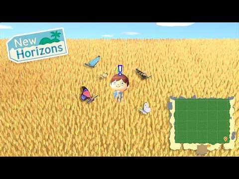 What Happens When an ENTIRE Island is WHEAT?