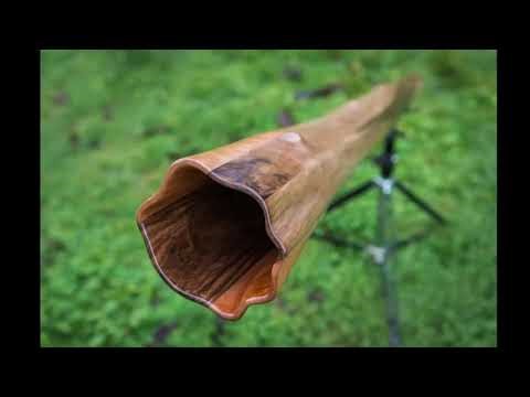 Angry Shaman | Didgeridoo Techno | Didgecore